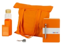 Welcome pack Color Refine (оранжевый) 