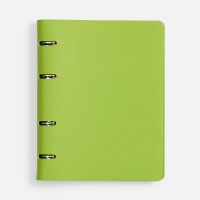 Ежедневник Ringo, недатированный, зеленый