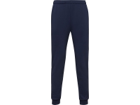 Брюки спортивные Rodas, мужские (синий нэйви) S